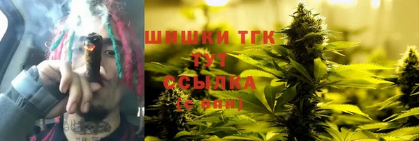 сатива Аркадак