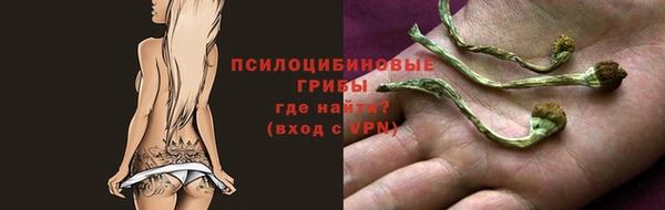 амф Баксан