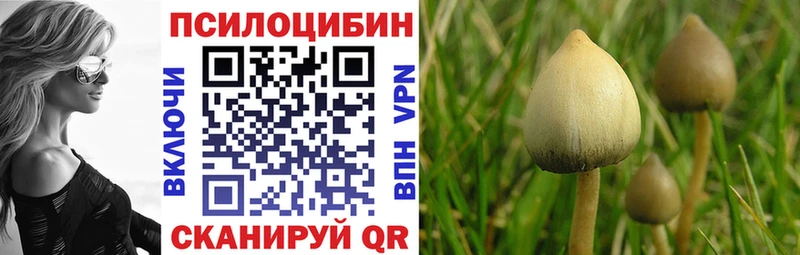 Псилоцибиновые грибы GOLDEN TEACHER Новомосковск