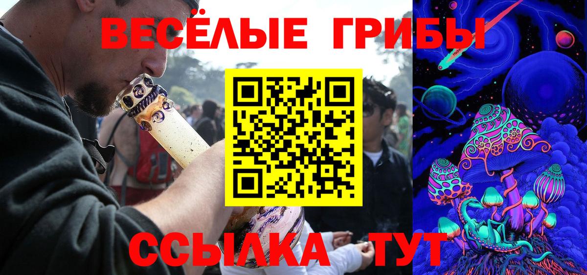 Новомосковск  Галлюциногенные грибы мухоморы  Галлюциногенные грибы Cubensis  Вход с VPN 