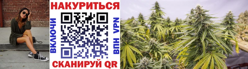 цены   Новомосковск  Конопля индика 