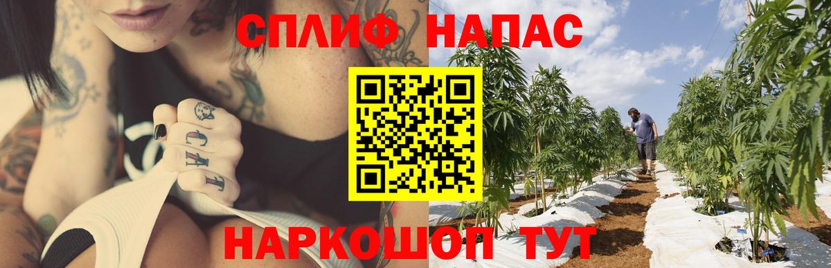 МАРИХУАНА OG Kush Новомосковск
